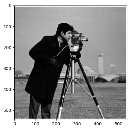 original cameraman image