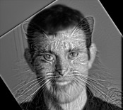 Derek and Nutmeg hybrid